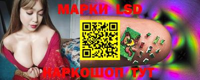 прущие грибы Пушкино